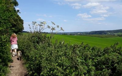 GA JIJ NU OOK ALLES ANDERS DOEN?