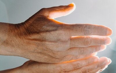 HET BELANG VAN BEDDING